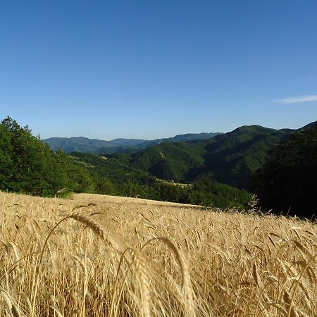 Agriturismo I Monti Di Salecchio パラッツオーロ・スル・セーニオ エクステリア 写真