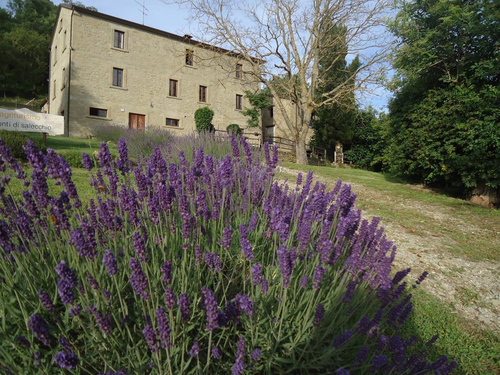 Agriturismo I Monti Di Salecchio パラッツオーロ・スル・セーニオ エクステリア 写真