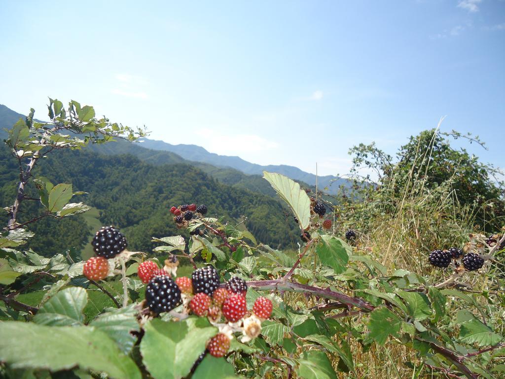 Agriturismo I Monti Di Salecchio パラッツオーロ・スル・セーニオ エクステリア 写真