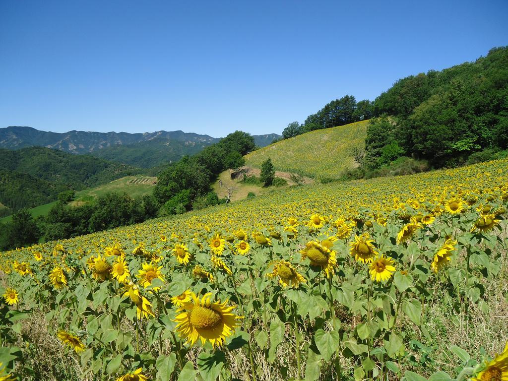 Agriturismo I Monti Di Salecchio パラッツオーロ・スル・セーニオ エクステリア 写真