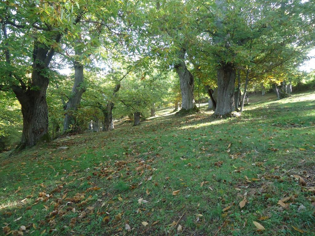 Agriturismo I Monti Di Salecchio パラッツオーロ・スル・セーニオ エクステリア 写真
