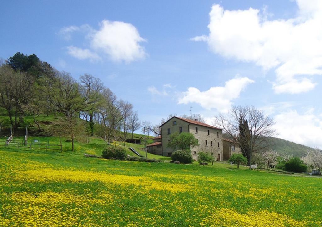 Agriturismo I Monti Di Salecchio パラッツオーロ・スル・セーニオ エクステリア 写真